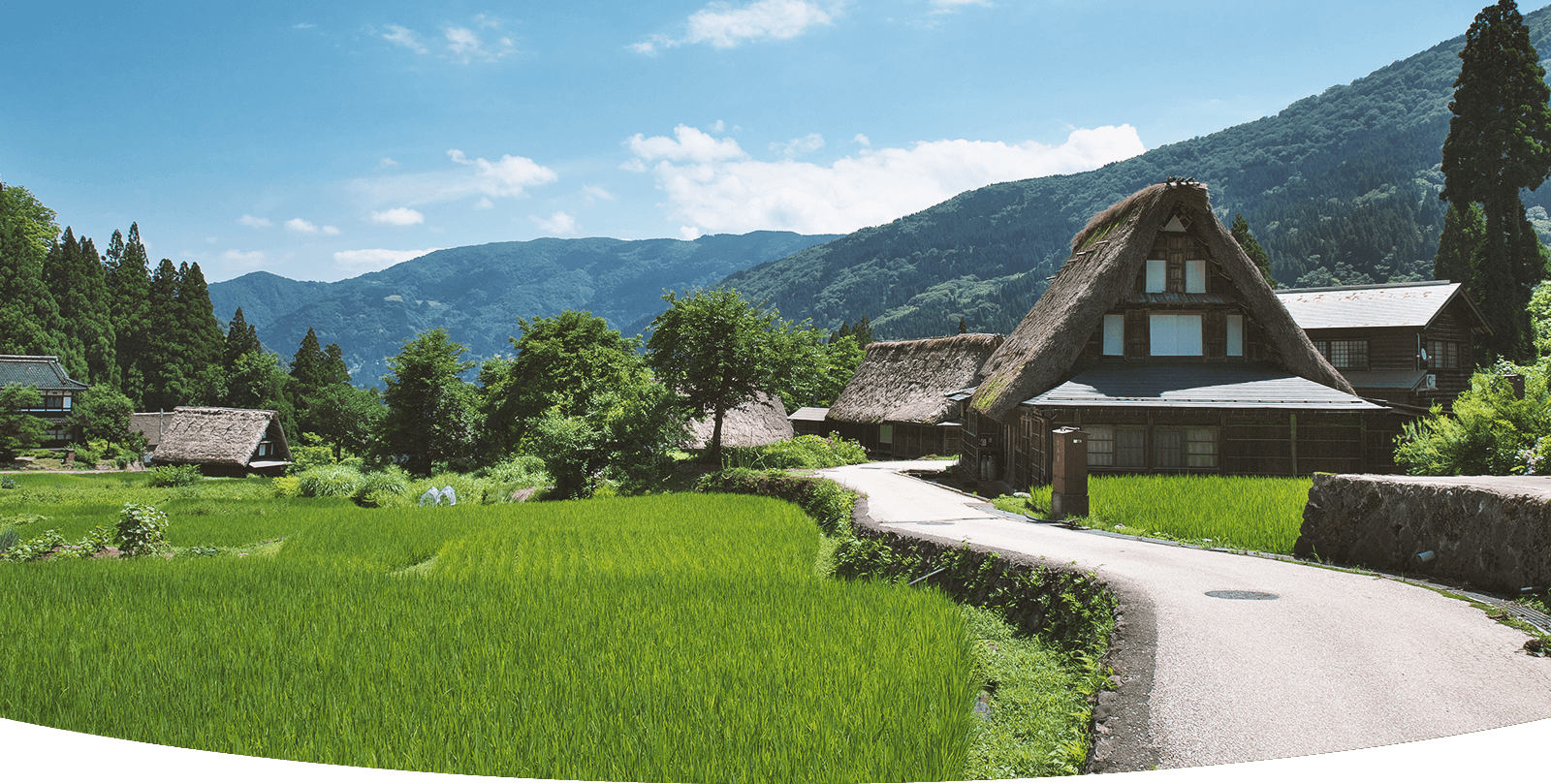 里山の中で道につながる外観1